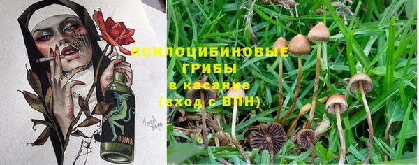 a pvp Волосово