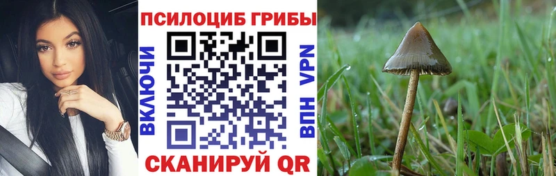 Псилоцибиновые грибы ЛСД  даркнет как зайти  Кочубеевское 